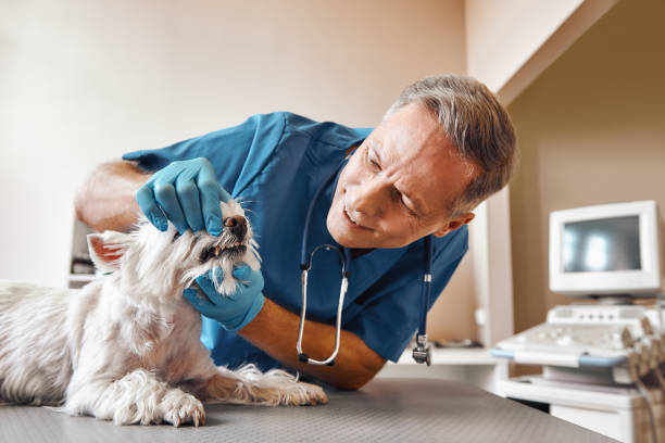 Best Dental Abscess Treatment in Deland, FL